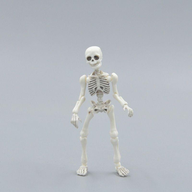 Skull Toy Pose Skeleton Human Body Flexible Model Doll For Home Decor And Gifts