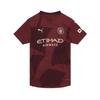 Puma Manchester City 2024 25 Third Authentic Jersey Man City Jersey