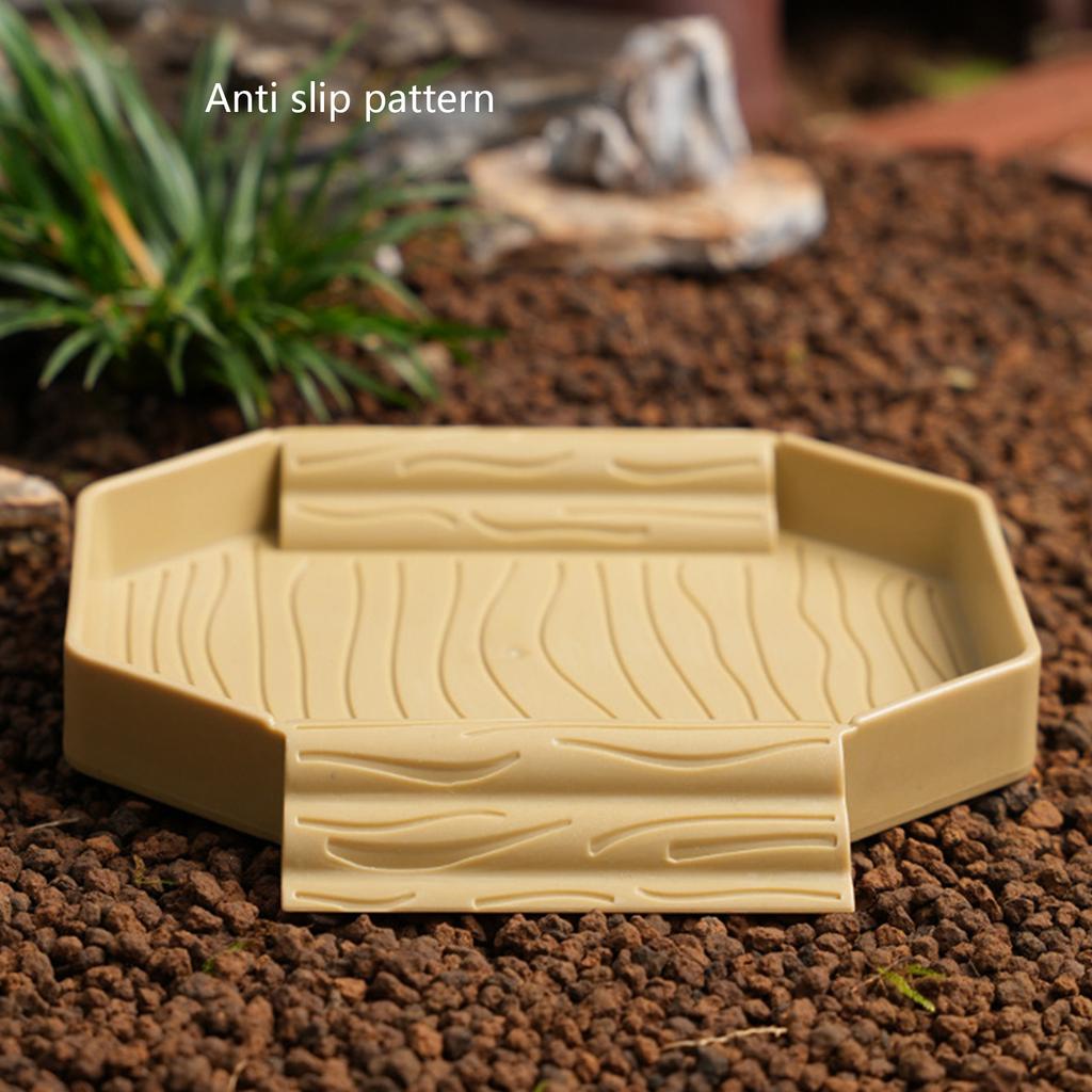 Small Plastic Turtles Bathing Pool Multifunctional Design Water Basin For Baby Reptiles Easy Cleaning And Portable Use