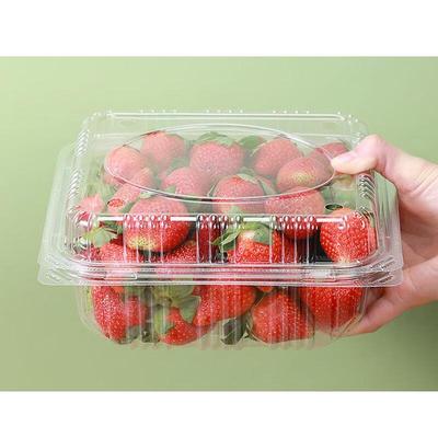Recipiente Quadrado Descartável Espesso para Frutas ZISIZ (1kg, Pacote com 100)