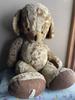 [USED] Large Vintage Cheeky Bear REG Cheeky Bear Vintage Teddy Bear