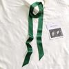 Women's Solid Silk Ribbon Scarf: Thin, Long, Narrow Neck Tie & Shirt Accessory