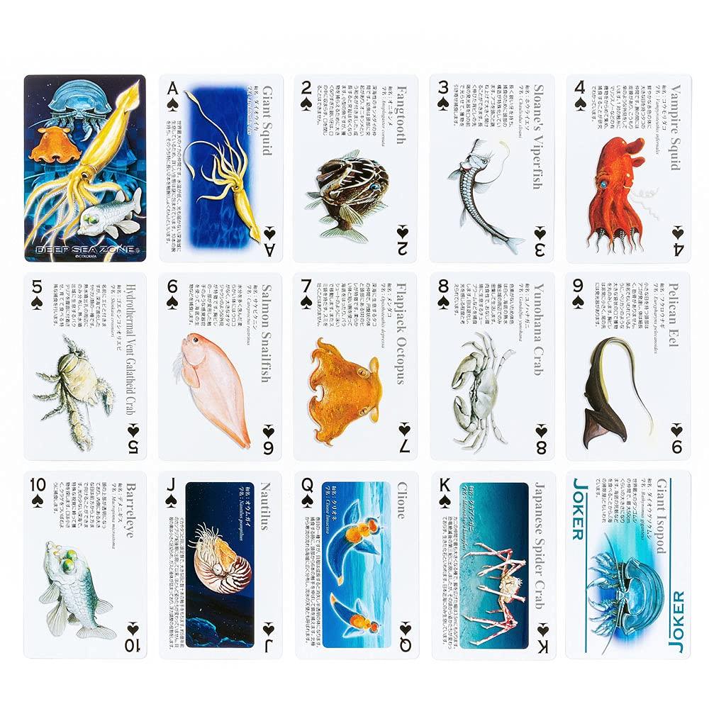 Carolata Realistické Hrací karty Hlubokomořští tvorové Mořská zvířata Hlubokomořské ryby Hračky Vzdělávací hračky Hrací karty Hry Obrázková kniha Dárky