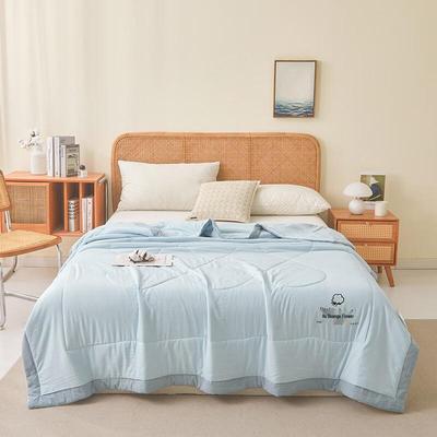 Yalu Xinjiang Cotton Summer Quilt