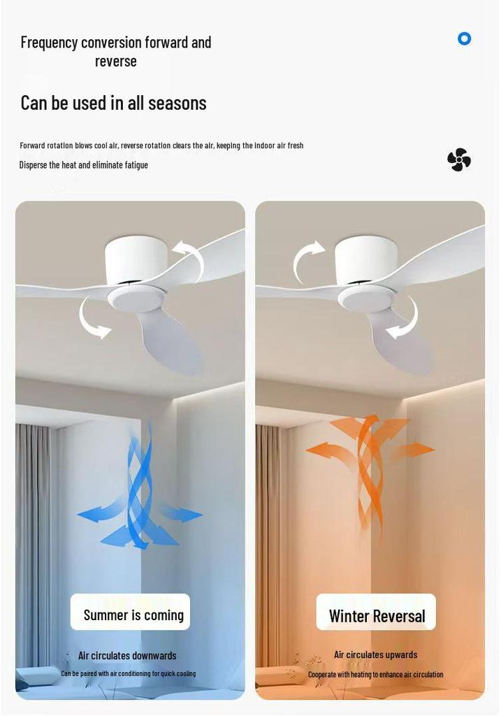 Minimalist Ceiling Fan Light for Living Room, Dining Room & Bedroom