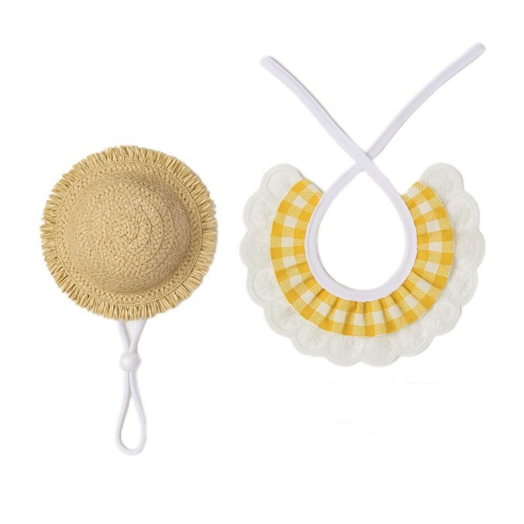 Stiil Veranda Lemmikloom Koer Aia Kaunistused Rõivakomplekt