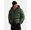 Down Jacket 710968113001