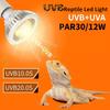 Reptile UVA+UVB Lamp Bulb Turtle Basking UV Light Bulbs Heating Lamp Lizard Bearded Dragon Terrarium Temperature Controller