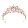 Crystal Tiara Crown Princess Costume Headband Bride Wedding Hair Accessories Gift Holiday Party Jewelry Butterfly Crown