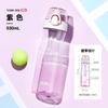 TCSW-500 Insulated Water Bottle