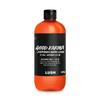 Lush Good Karma...jeder braucht etwas 550g Duschgel Körperwäsche