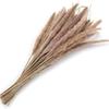 1 Bunch Dried  Reed Flowers Natural Plant Dried Pampas Grass Ornaments For Living Room Dining Tables Party Hallways Decoration