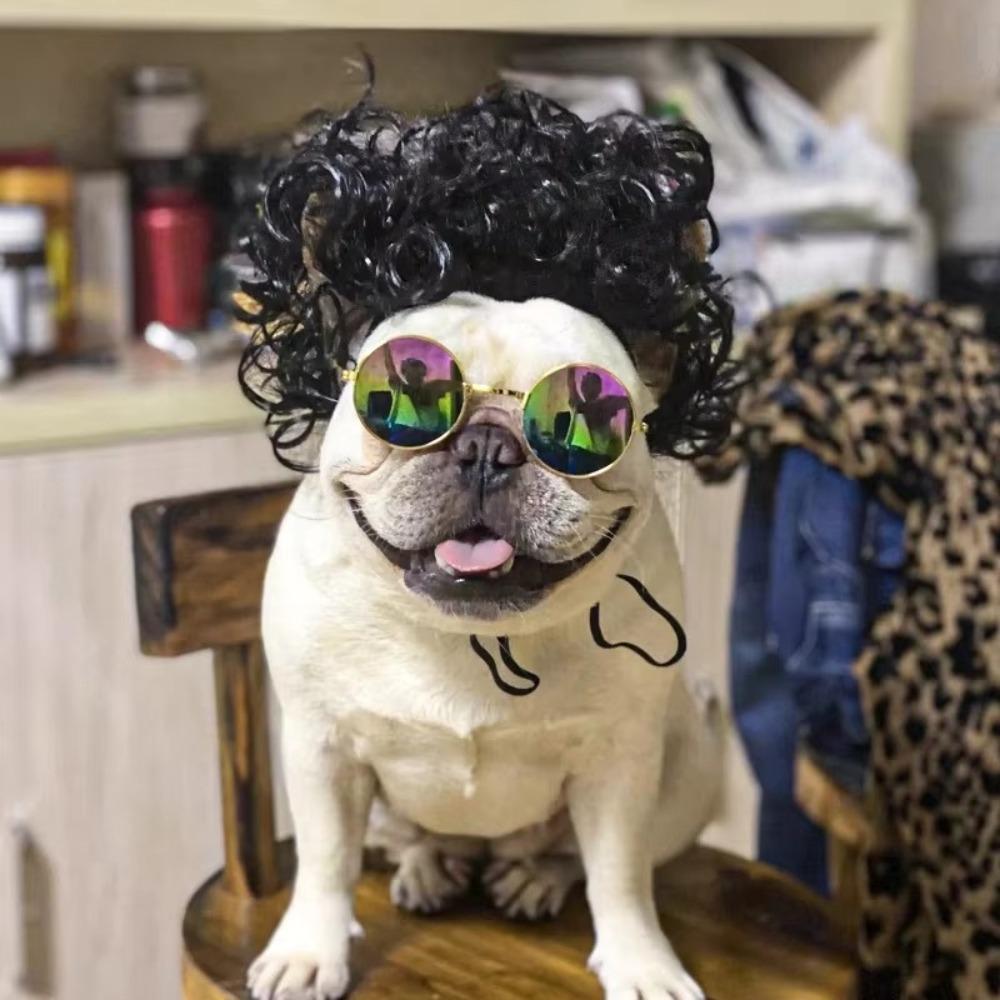Kreative Lustige Haustierperücke Verstellbares Afro-Design Hundeperücke Elastisches Banddesign Katzenperücke Haustier Cosplay Requisiten Fotografie Scherzgeschenke