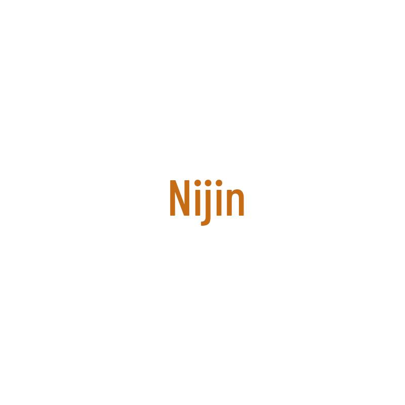 Nijing Side Marker Light for Hengshan HSZ6108 Bus
