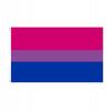 Bandiera Arcobaleno Lgbt Grande 90X150Cm Bisessualità F7