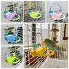 Bite Resistant Bird Perch Stand Wear-resistant Non-slip Paw Grinding Sticks Colorful Decorative Parrot Standing Pole Small Birds