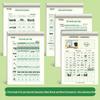 Cuaderno de Práctica de Pinyin: Ejercicios de Consonantes, Vocales y Fusión para Educación Infantil y Transición al Jardín de Infancia