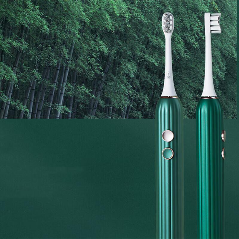 

Qianshan Xiaozhu Sonic Electric Toothbrush