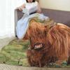 Highland Cow  Blankets Flannel Sofa Throw Blanket Multi-function for Couch Bedding Outdoor Throws Bedspread Quilt