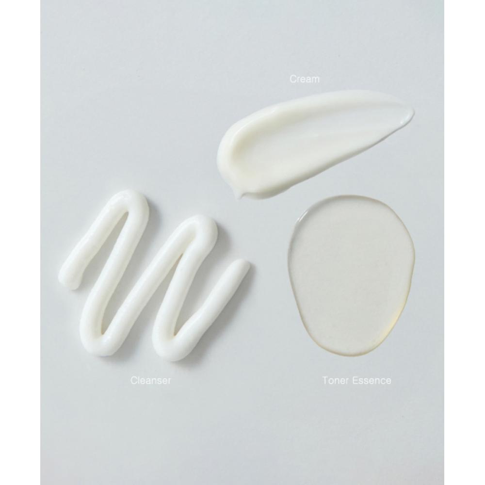 Venderma Red Calming Cica Exo Soothing Cream 50ml