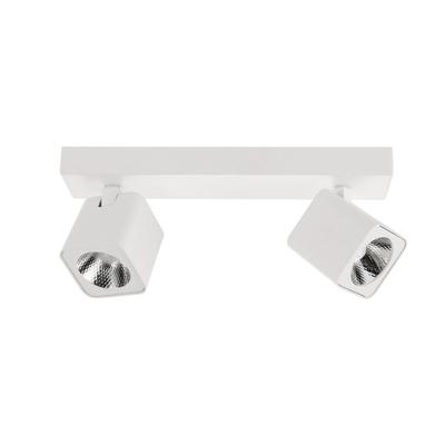 Spot LED 10W AVEIRO SPL-31981-2B-WH Italux