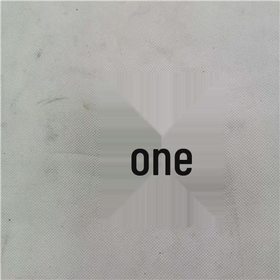 Compatible Idler Pulley for Foton Accessories 1PV10002040 Foton