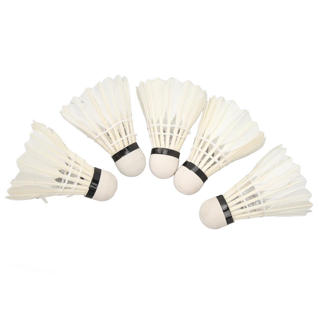 5pcs LED Badminton Shuttlecocks Dark Night Glow Birdies Lighting Switch Control Elastic Goose Feather Lighting Shuttlecocks