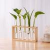 Creative Hydroponic Wood Frame Vase Ornaments Tabletop Bonsai 2024 Hydroponic Plants Container