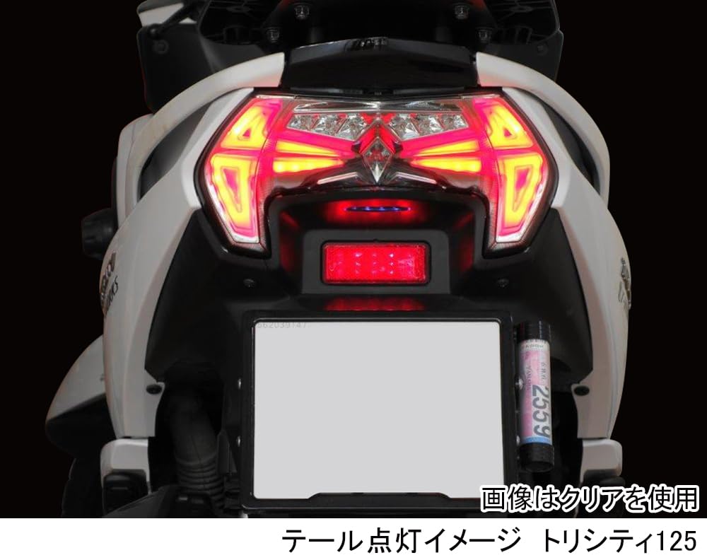 KITACO LED Tail Light Smoke for Kit, Type, Tricity, 809-0422310
