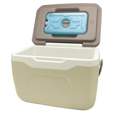 Ramasu Cooler Box with Ice Packs, 4.8L, Brown/Beige