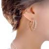 Three Lives Trilogy Circular Earrings Ear Clasp Ear Ring Luxury Set with Precious Diamonds Silver Pin Golden Earrings