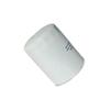 Danore Iveco Oil Filter