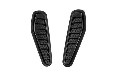 Bonnet Trim type-A (2 Pcs, ABS)