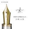 Sailor fountain pen Profit 21 Sterling Silver 925 Fine Nib 10-5027-220