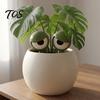 Unique Potted Plant Ornaments 1 Pair Planter Insert Big Eyes, 3D Printed Eye Decorations, Flower Pot Soil Inserts Stakes, Funny Eyes for Indoor