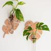 1/2 Pcs Leaf Shape Wall Planters Wooden Wall Hanging Plant Pots with Test Tube Vase Indoor Propagation Station Home Garden Decor