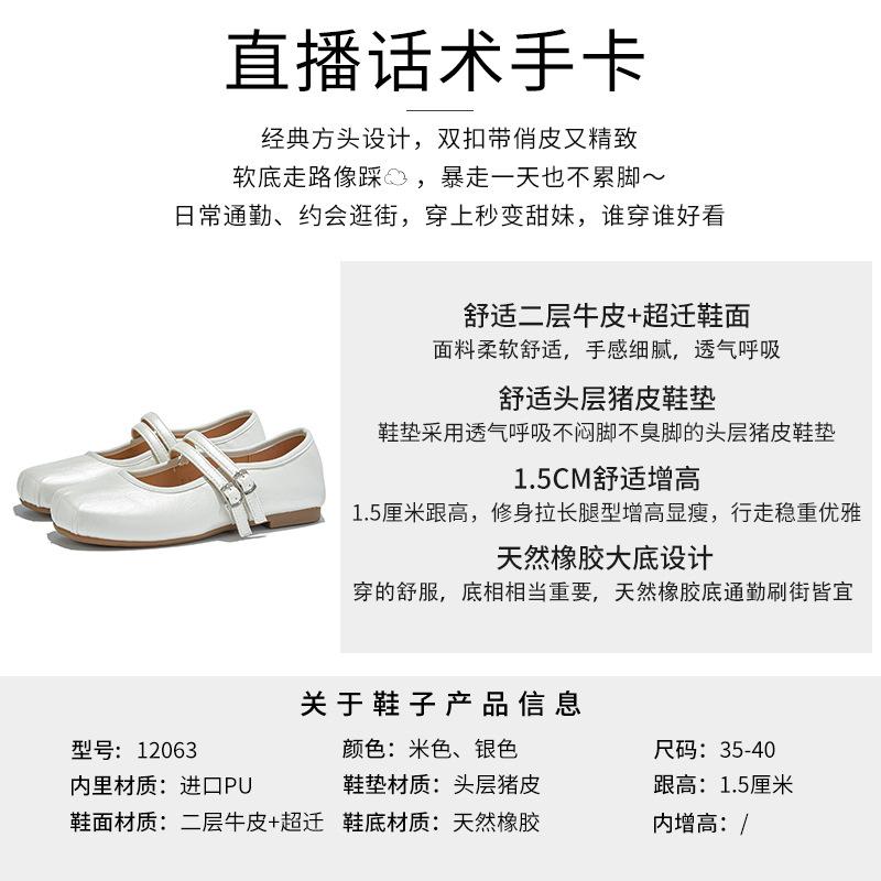 Square head leather Mary Jane shoes girl 2025 new autumn temperament fairy French silver single shoes high-end women's shoes