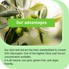 High-strength olive leaf capsules, olive leaf extract, containing oleuropein, suitable for adults.