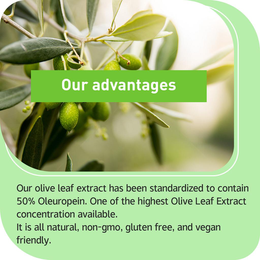 High-strength olive leaf capsules, olive leaf extract, containing oleuropein, suitable for adults.