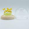 Floral Glow Garden Dome – 20 Sunflower – LED USB