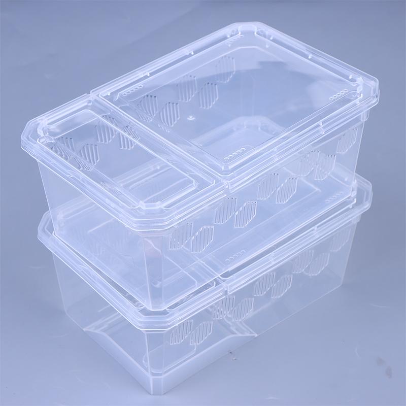 Reptile Tank Insect Spiders Tortoise Lizard Plastic Transparent Reptile Breeding Box Vivarium With Balcony Feeding Supplies