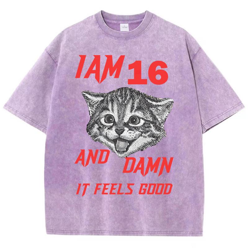 I Am 16 And Damn It Feels Good Pattern Male T-Shirt Retro Casual Tee Shirts Street Short Sleeve Summer Loose Clothes