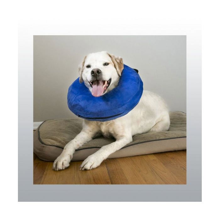 Inflatable Collar - KONG - Cloud - Washable - Scratch-Resistant - Comfortable Small Dog