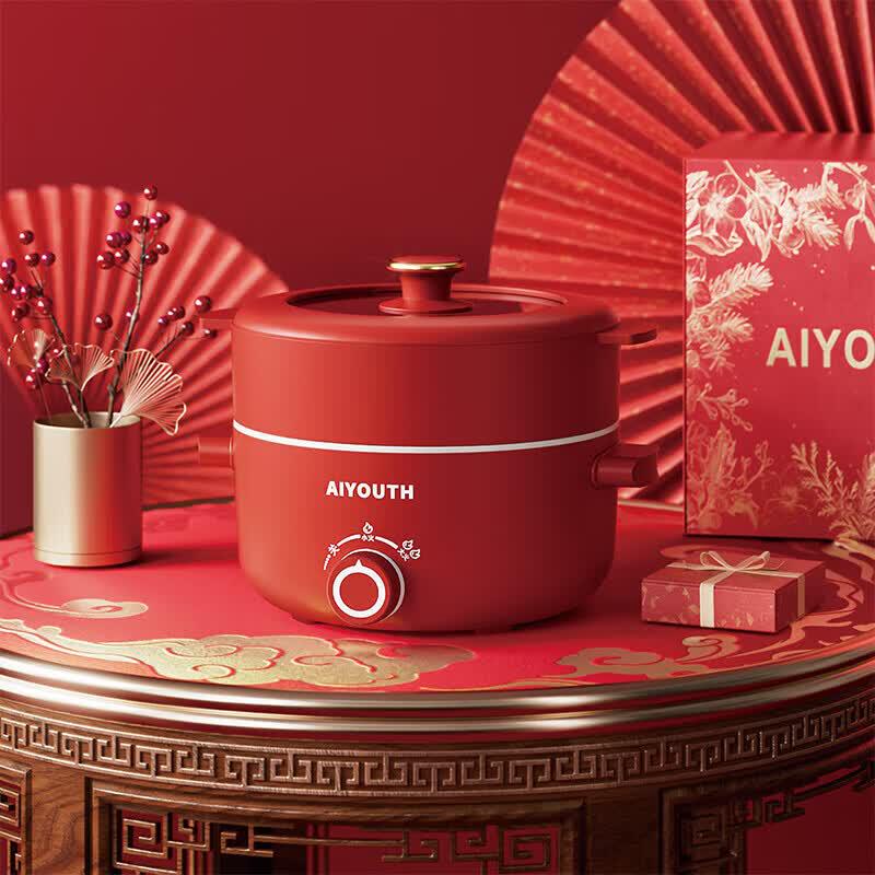 AIYOUTH Multi-Functional Electric Hot Pot with Steamer CN plug (adapter included)