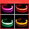 Collier LED Lumineux pour Chien Rechargeable Pour Chiens Petits Moyens Grands