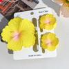 Egg Flower Hair Clip SetBauhinia Flower Back Head Grab Clip Elegant Shark Clip Hair Accessory Headwear