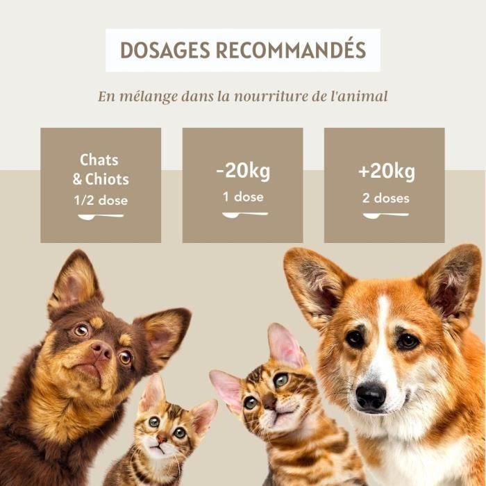 Harpagophytum 100g - Complément Naturel Pour Soutien Articulaire