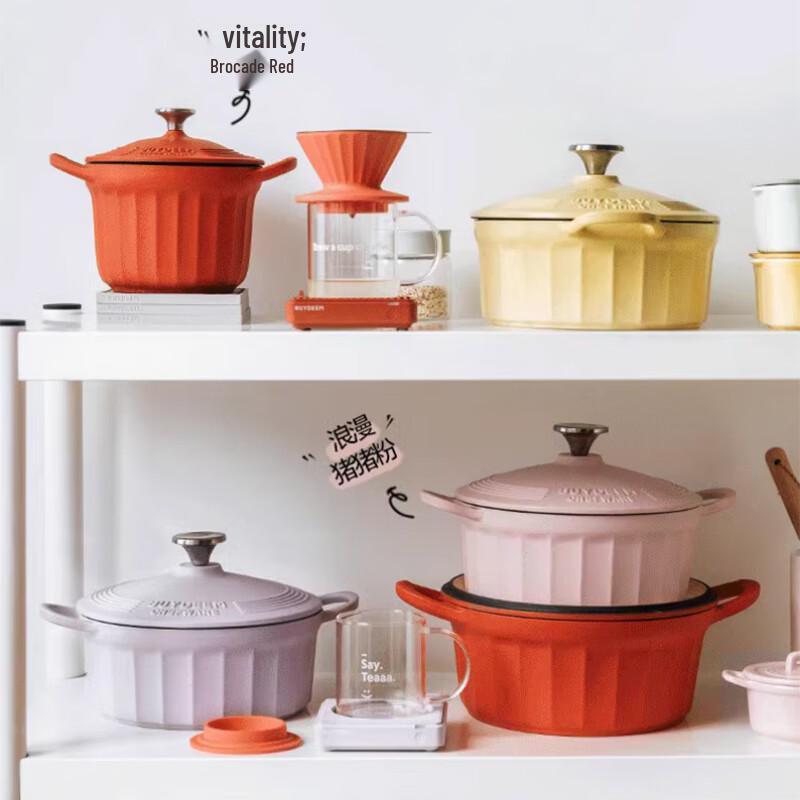 Buydeem Enamel Cast Iron Stew Pot