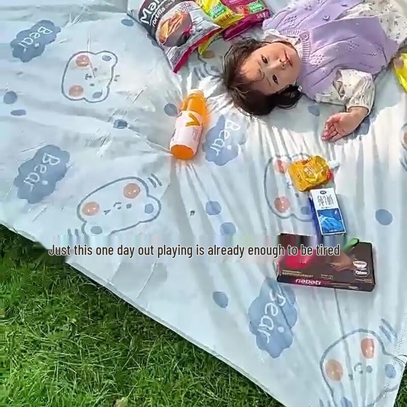 Duanshan Disposable Outdoor Picnic Mat