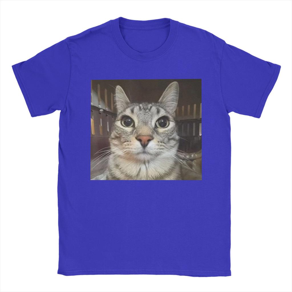 Silly Staring Cat Meme Mens T Shirts Vintage Tees Short Sleeve Round Collar TShirts Pure Cotton Party Clothes